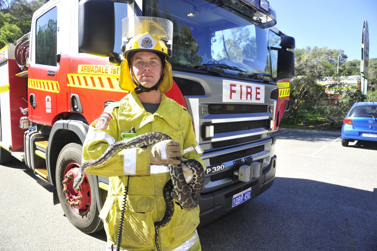 Fire damages local reptile centre