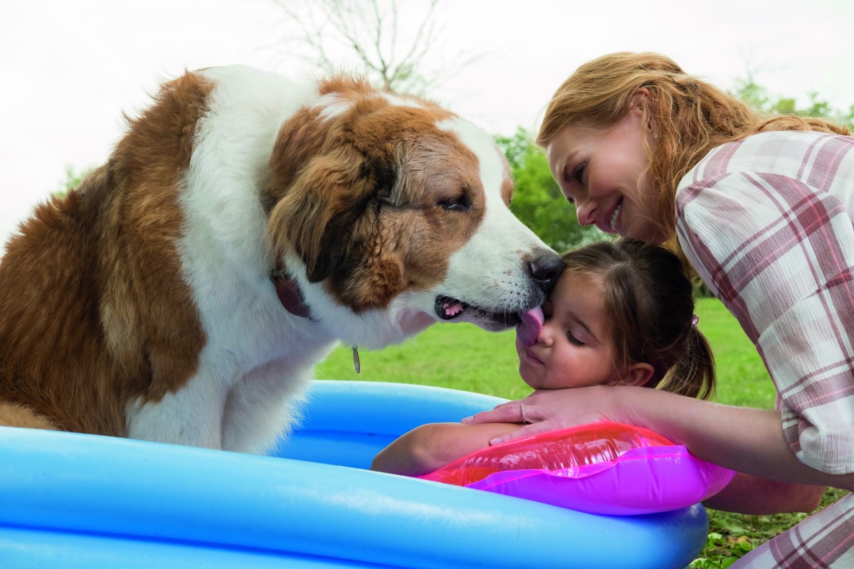 Dogs thoughts explored out loud