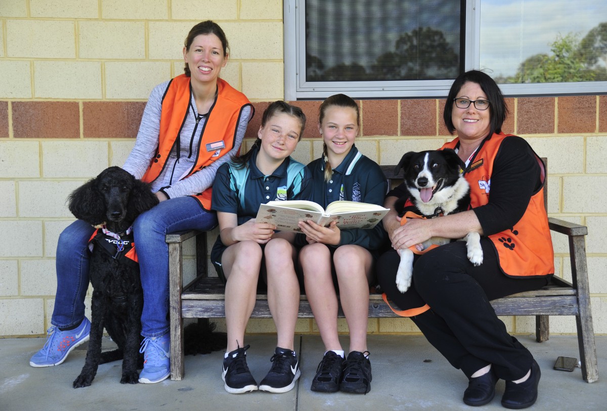 Do you have a calm, friendly dog and some spare time?