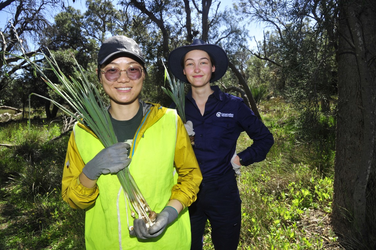 Just arrived? Try a little conservation