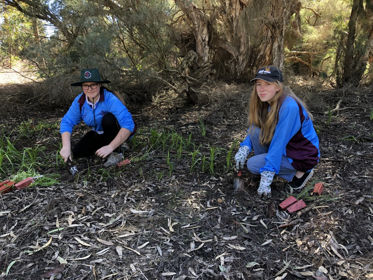 Planting boosts camaraderie