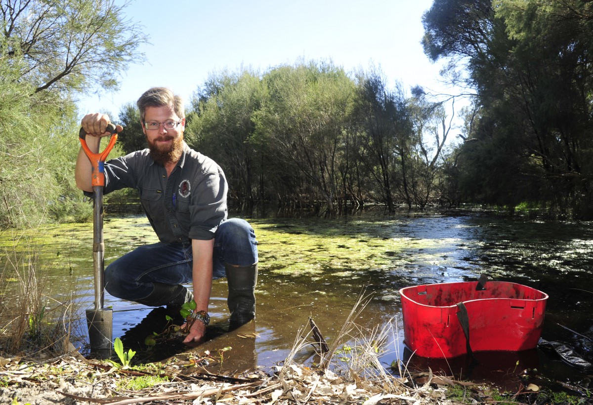 Group’s 800 plants an amazing effort