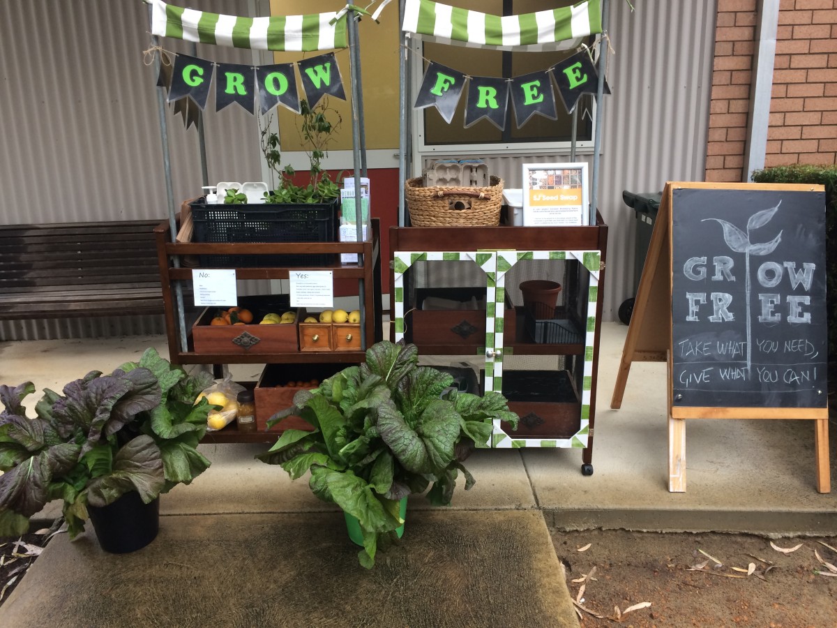  Homegrown produce stall a hit 
