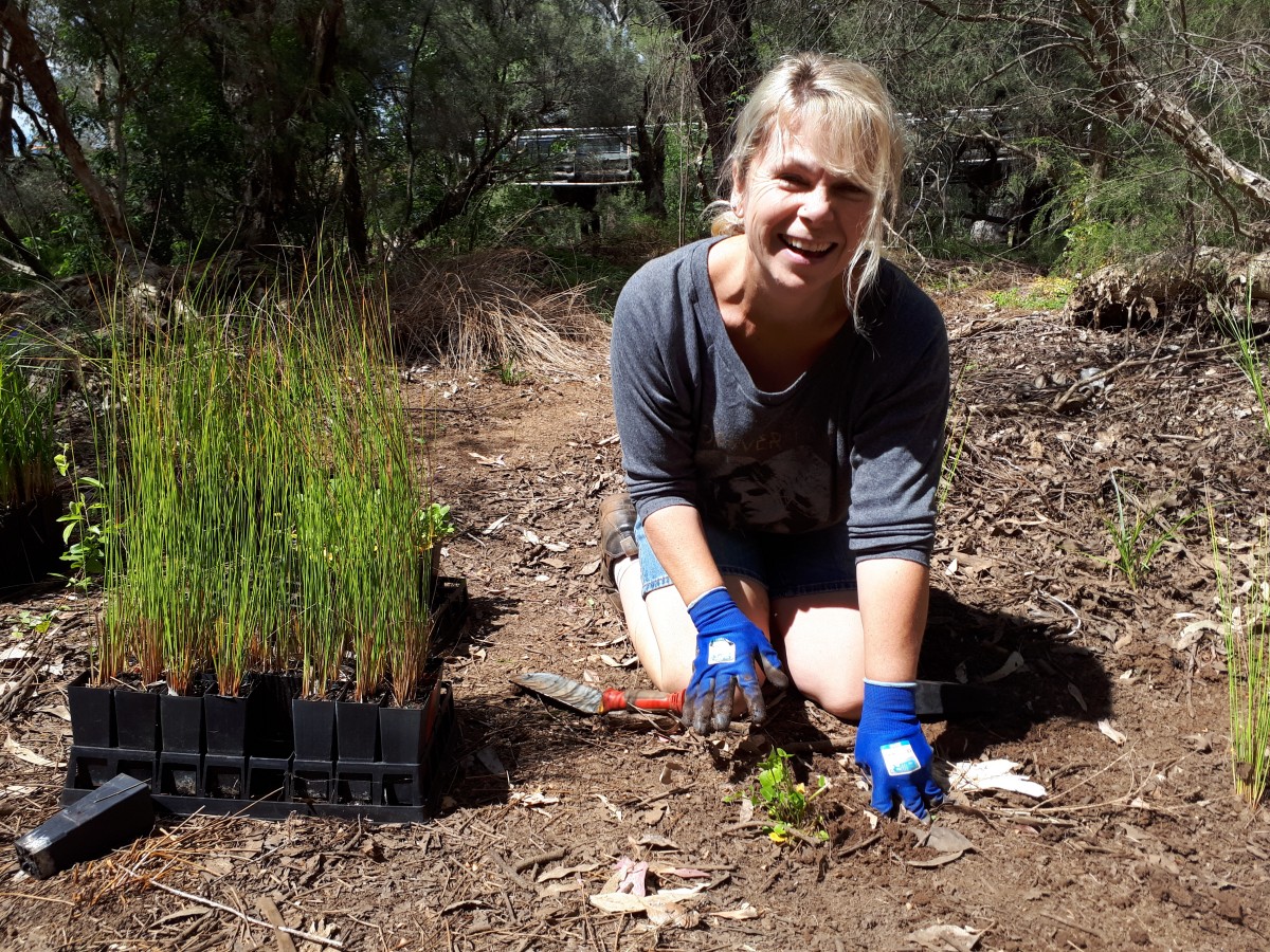 Many hands make light work