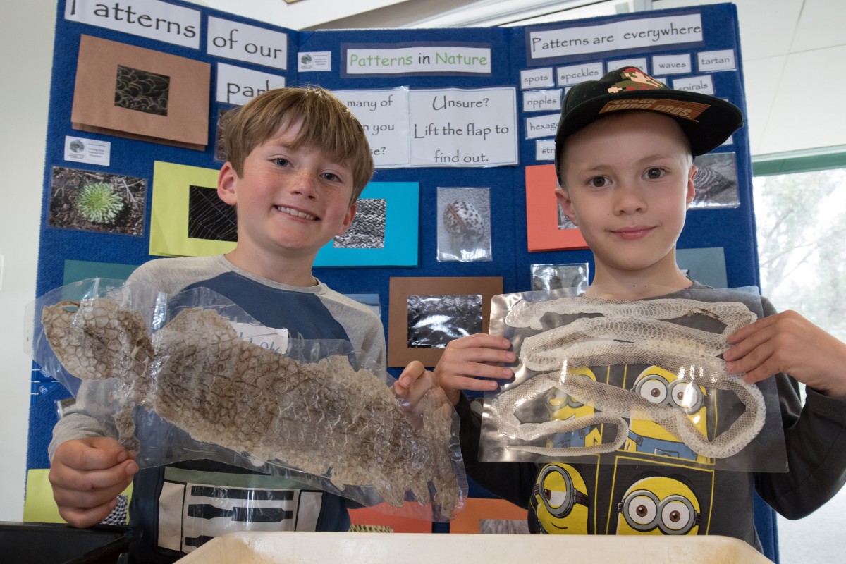 We’re going on a bird huntVice