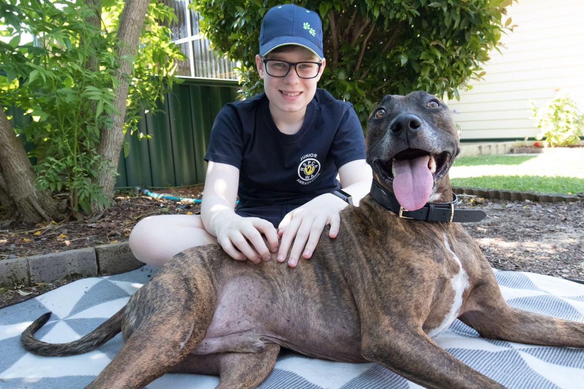 Lachie to the rescue