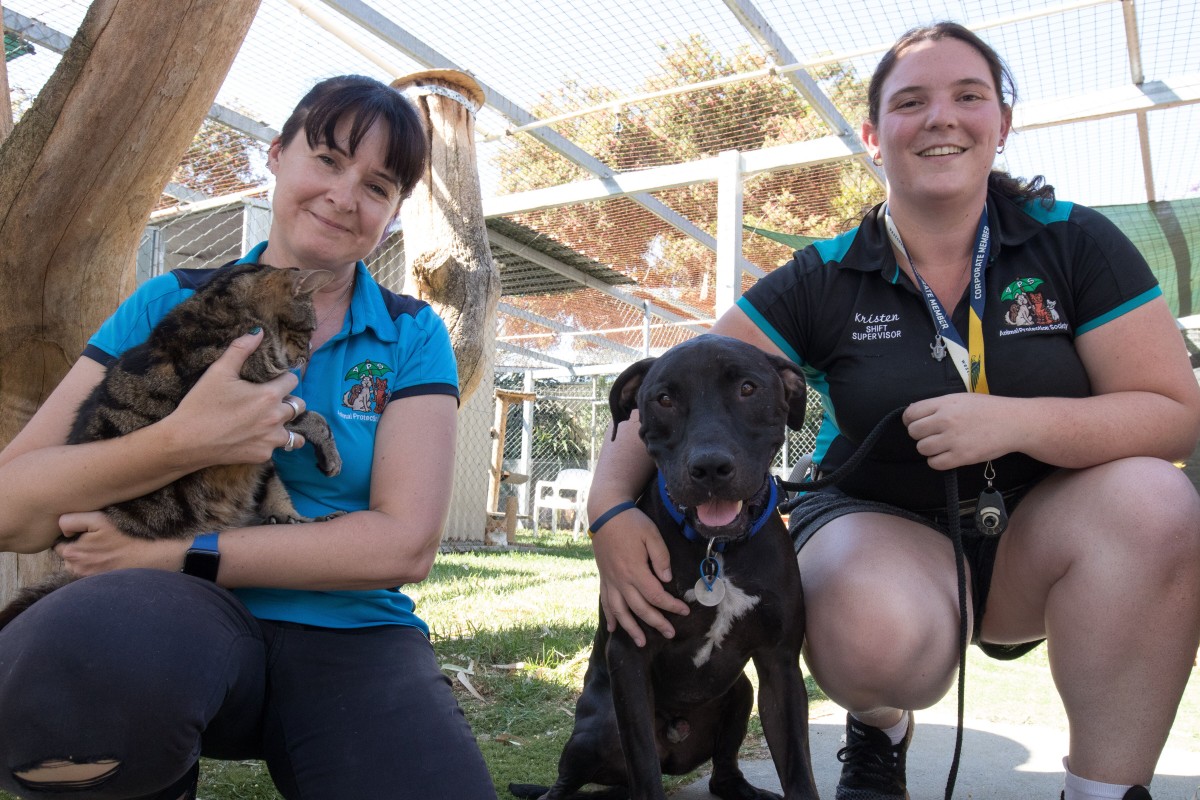 Ready for puppy cuddles?