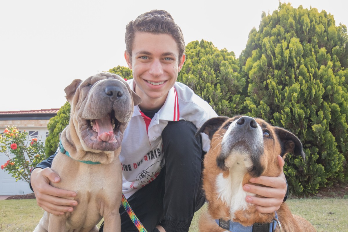 Dean is giving strays a chance