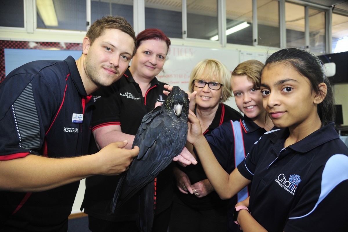 Challis students adopt a new mascot