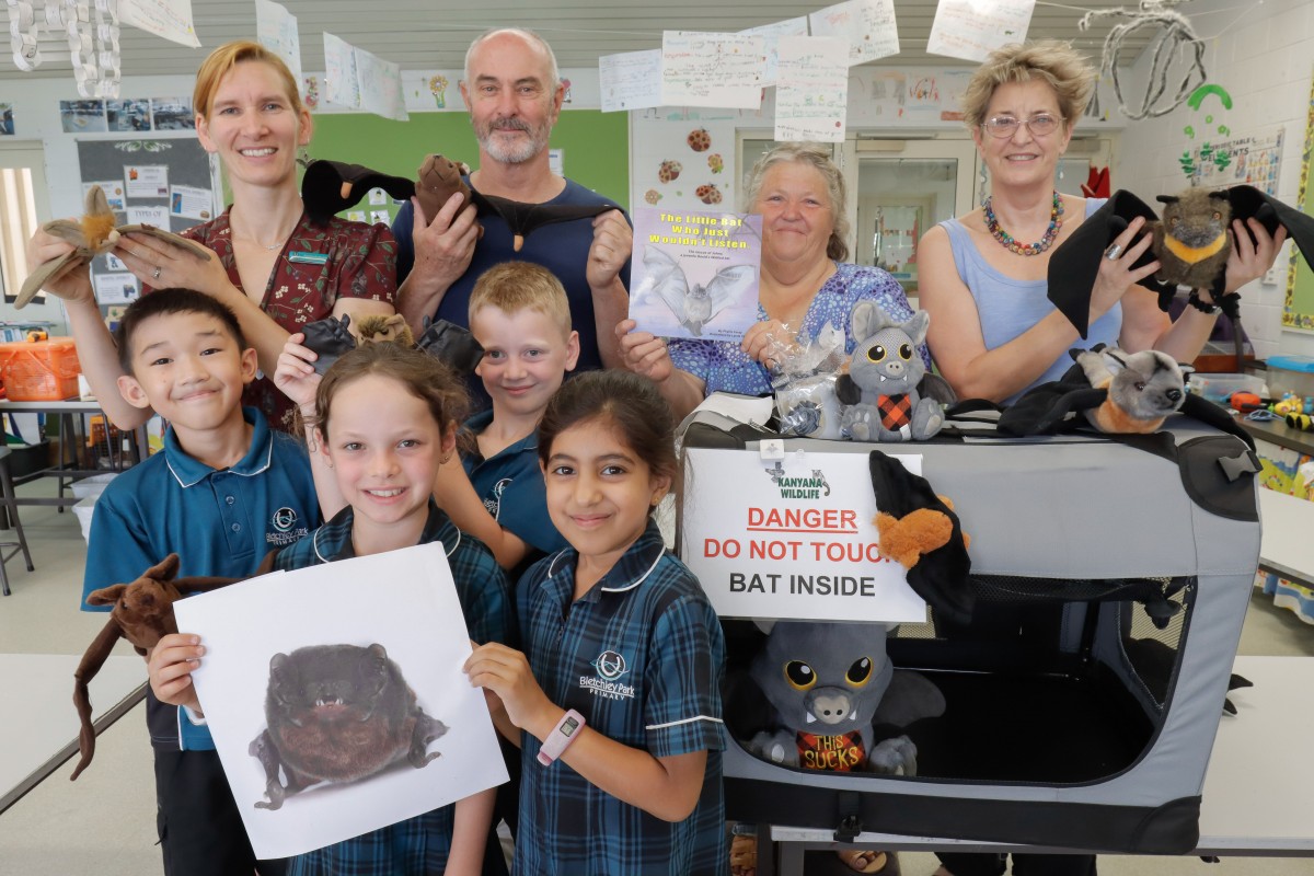 Inspired by a little bat