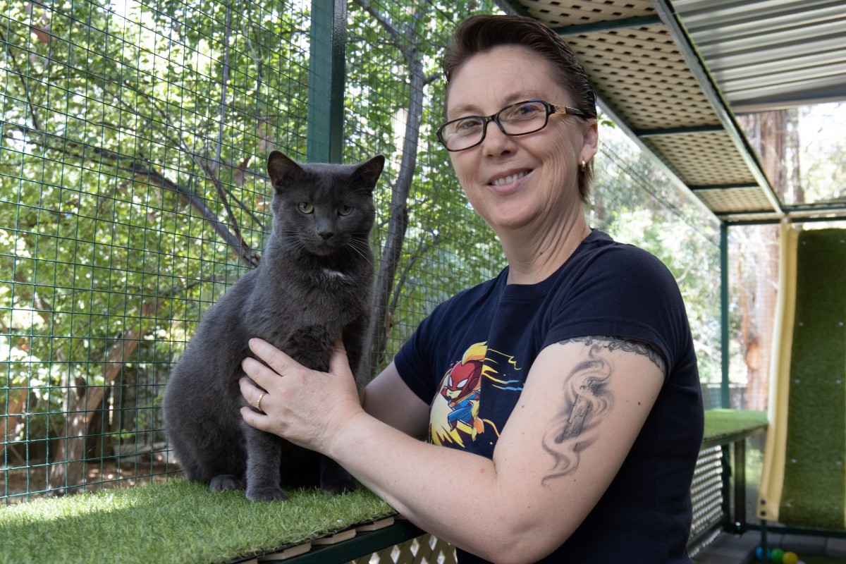 Self-confessed crazy cat lady on a mission