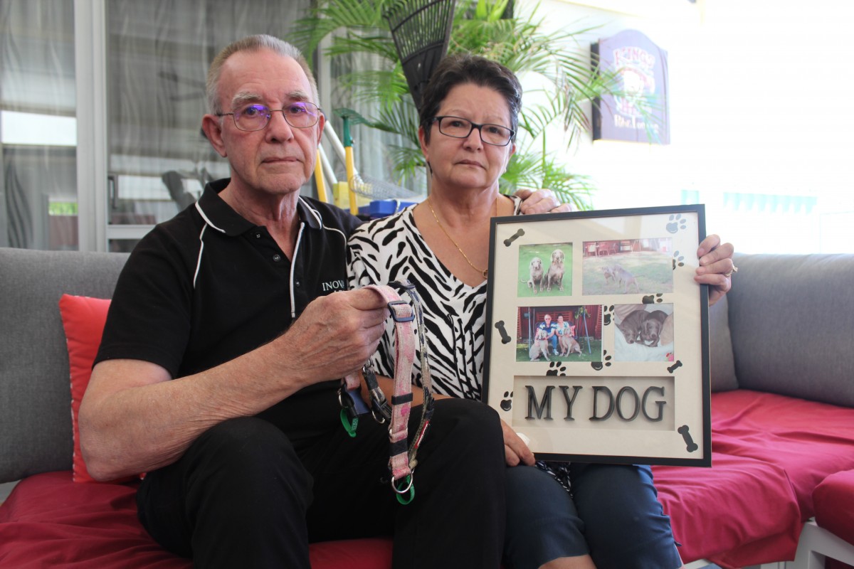 Beloved companions killed by dugite