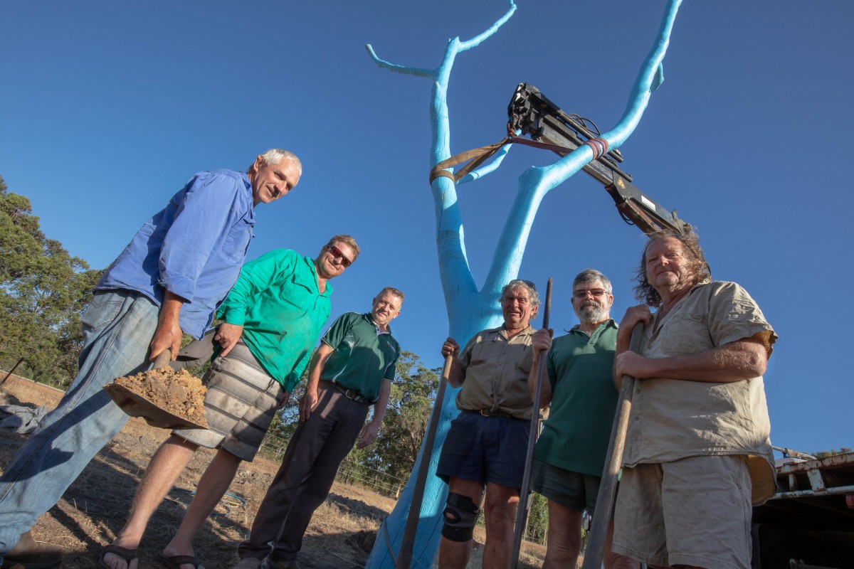Blue tree helps to spread positive message