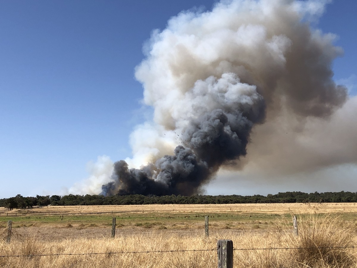 Local fire crews bring bushfire under control