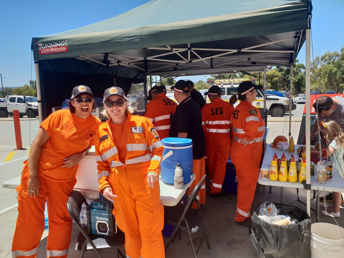 Snags for a good cause