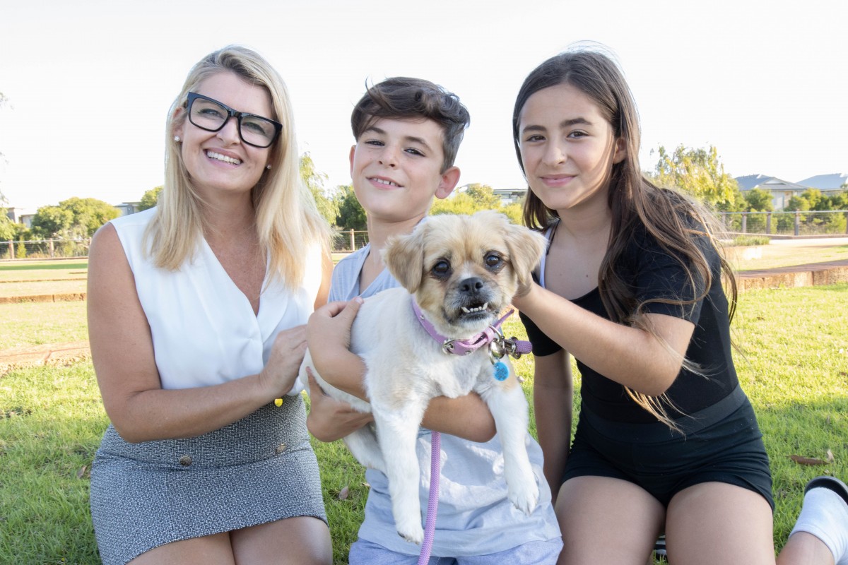 Pet dog found after going missing for 18 months