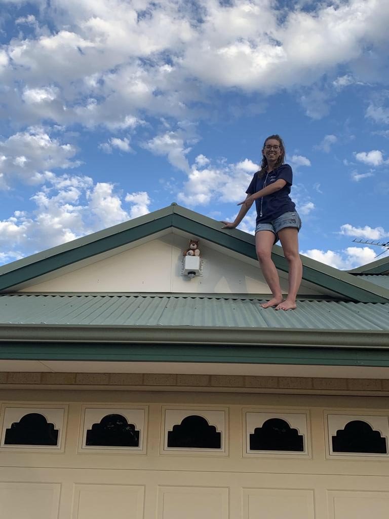 Tanya’s teddy hunt mission is a winner for local kids