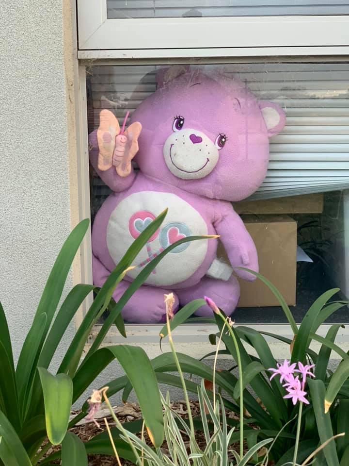 Bear hunt brings joy to local kids