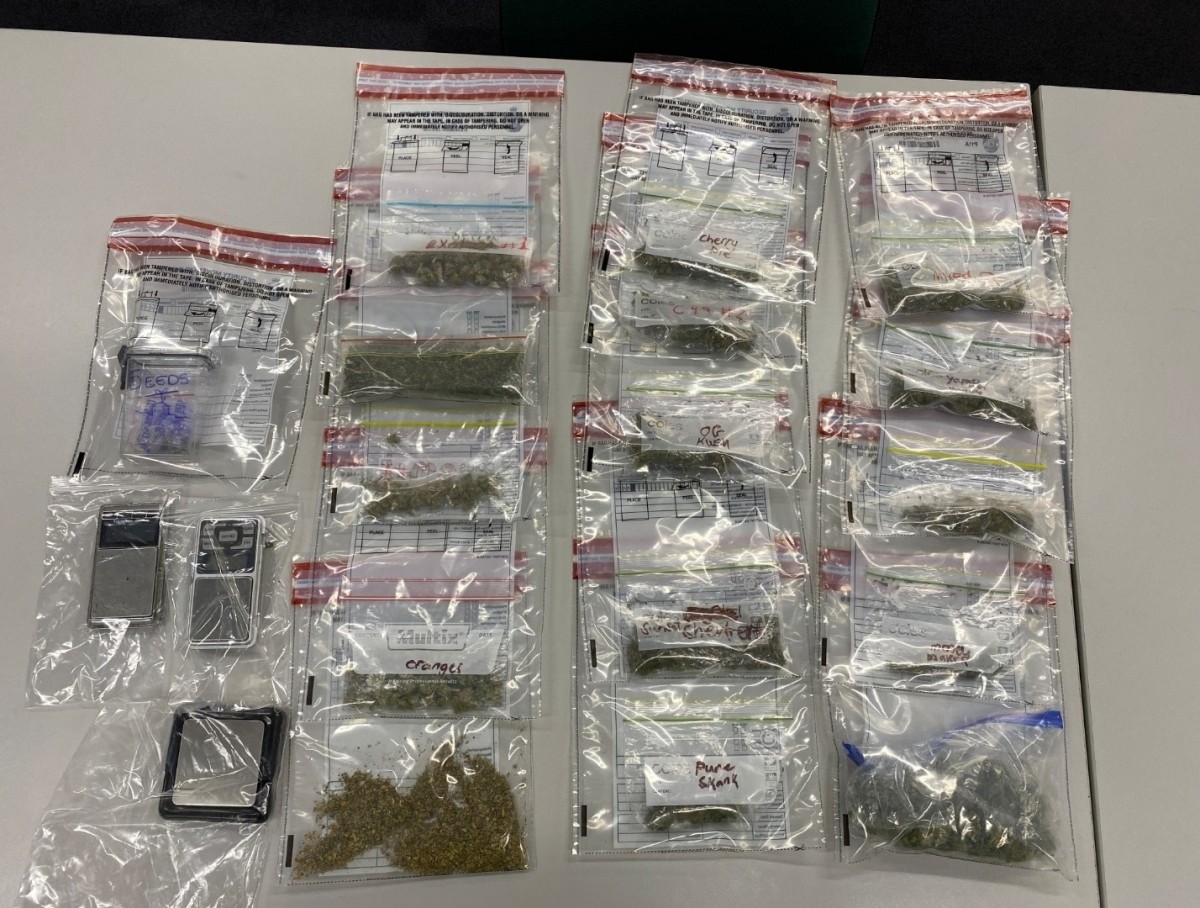 Police seize cannabis, mobile phones during search