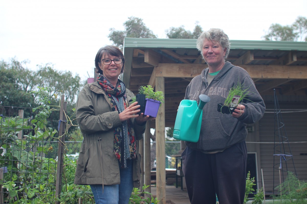 Local tradies chip in to help