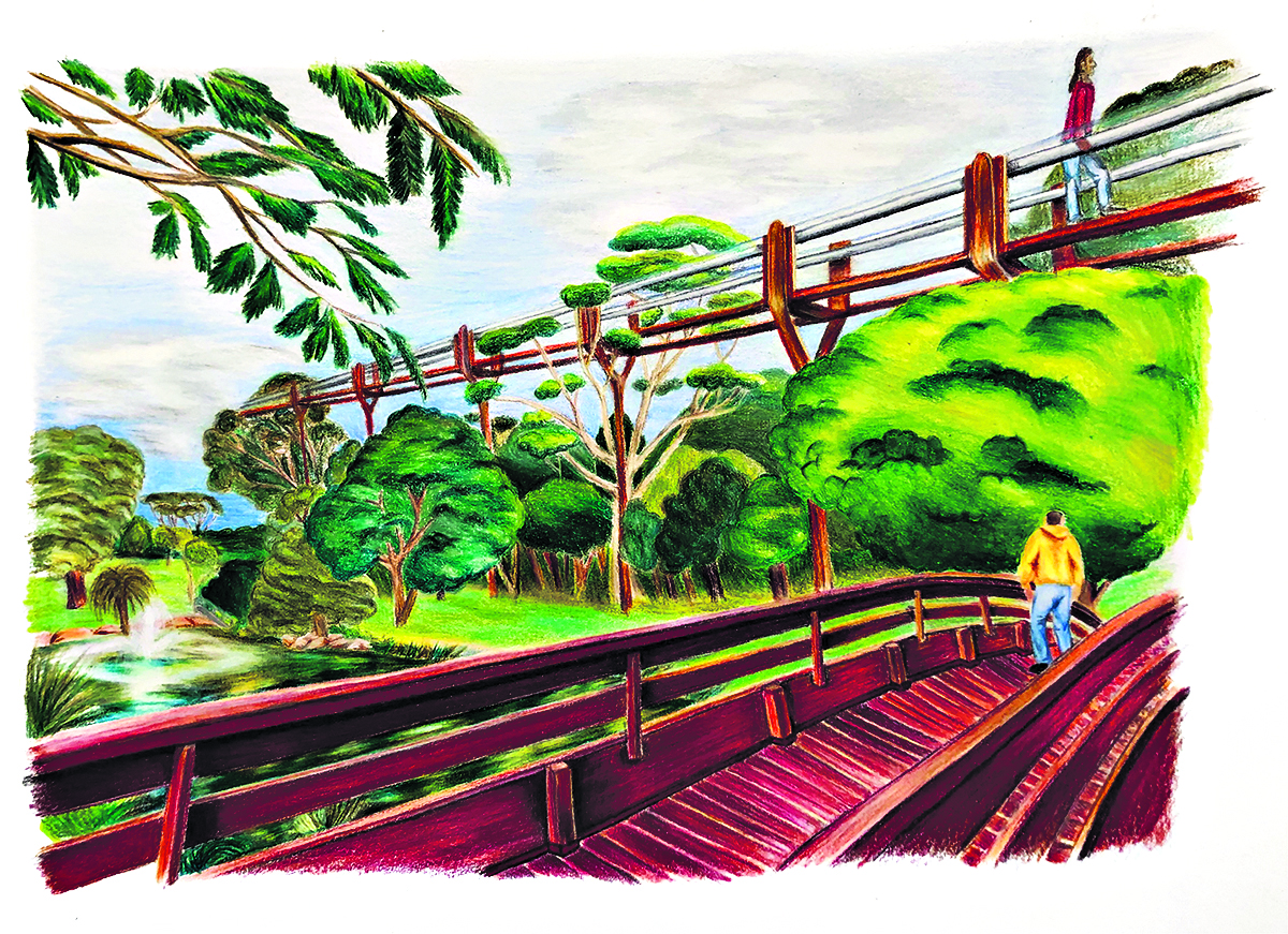 Treetop walk to revitalise Armadale