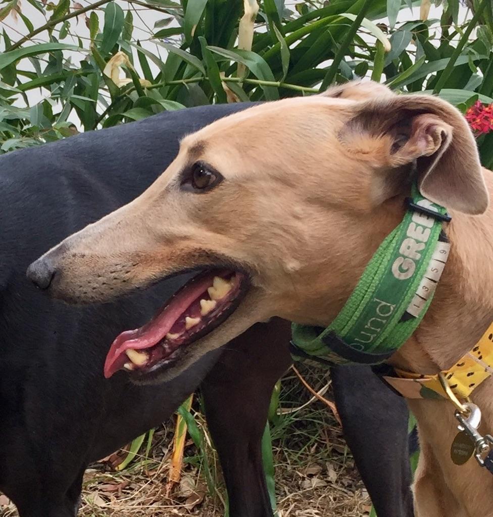 Industry says figures quoted by group are not accurate