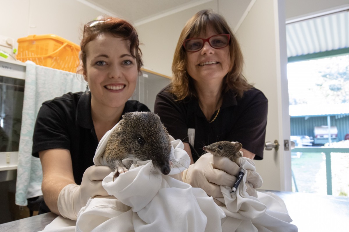 Local wildlife rescue group up for top welfare award