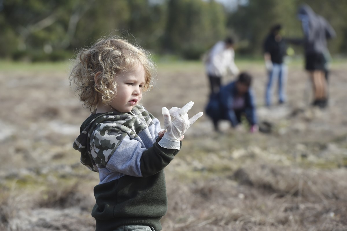 Tree Day more popular than ever