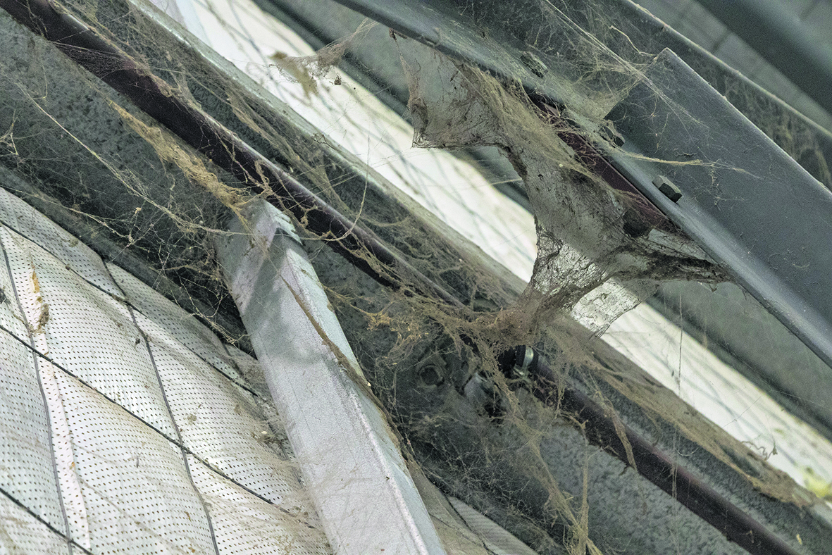 ‘We’ve got to do something’