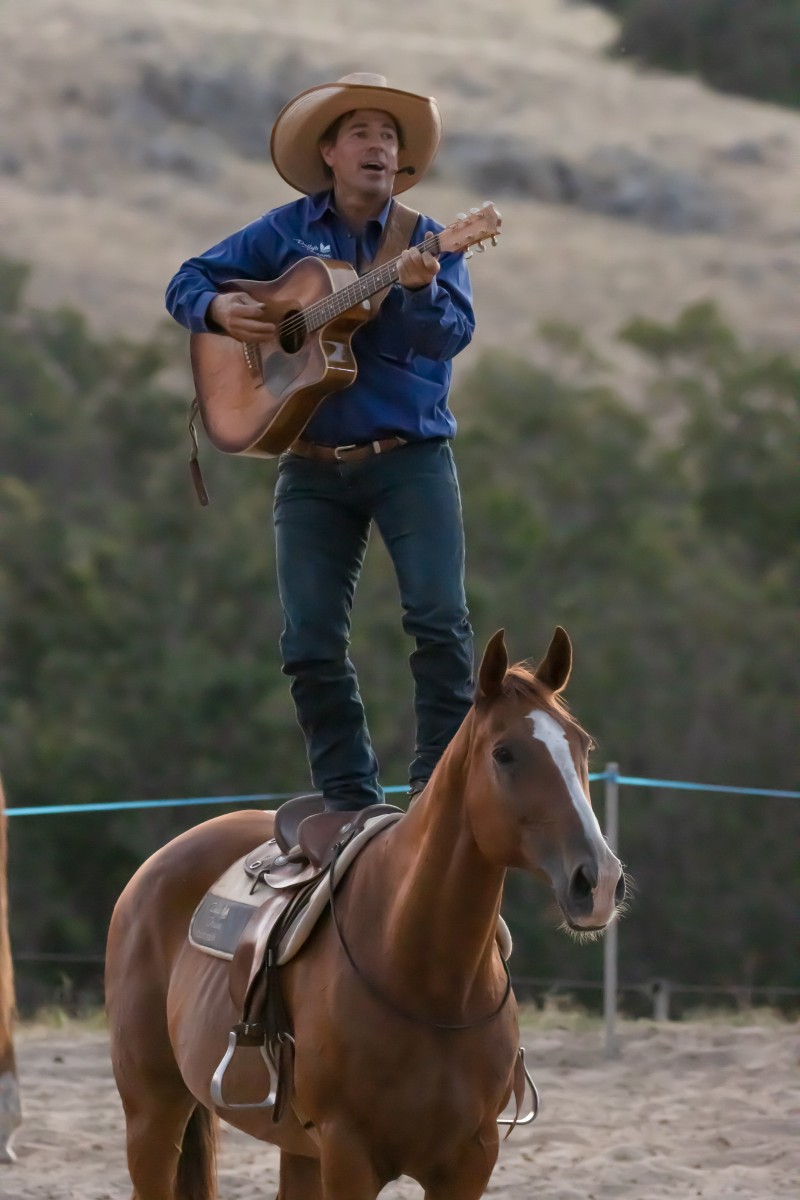 From working dogs to riding tricks – this show had it all