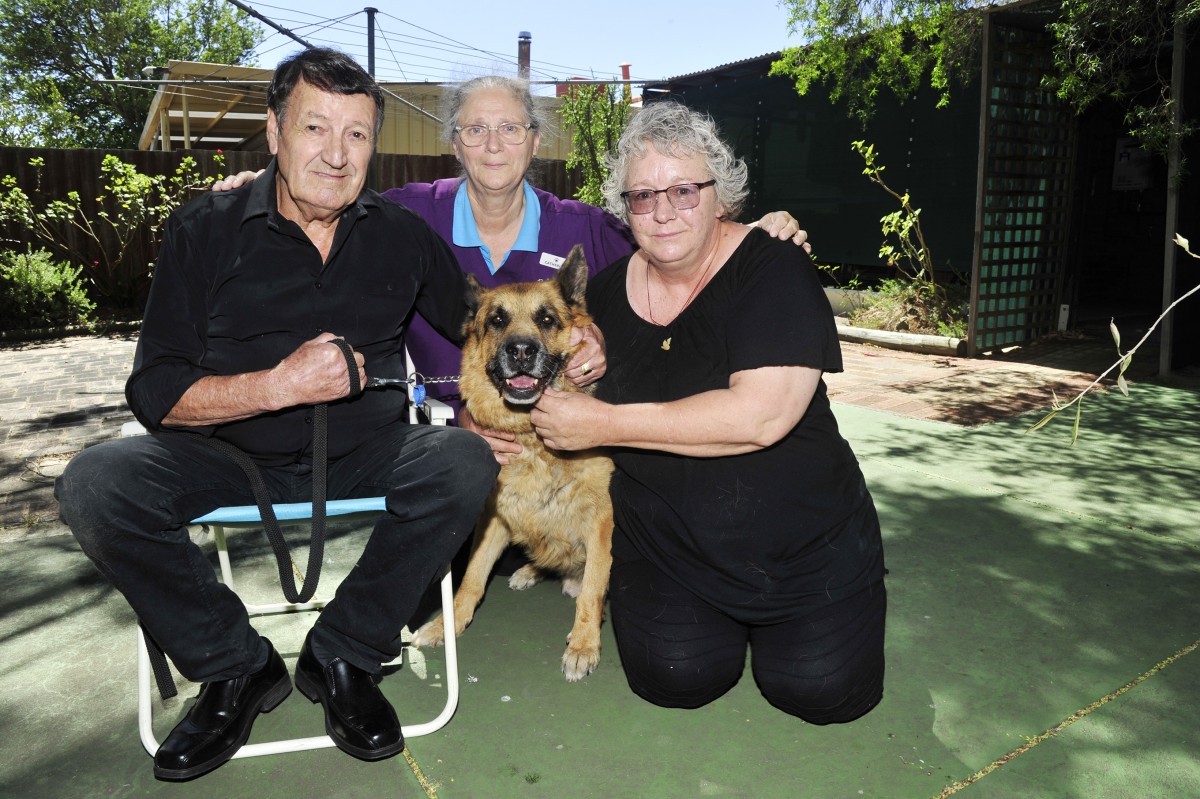 Ron’s guardian angels