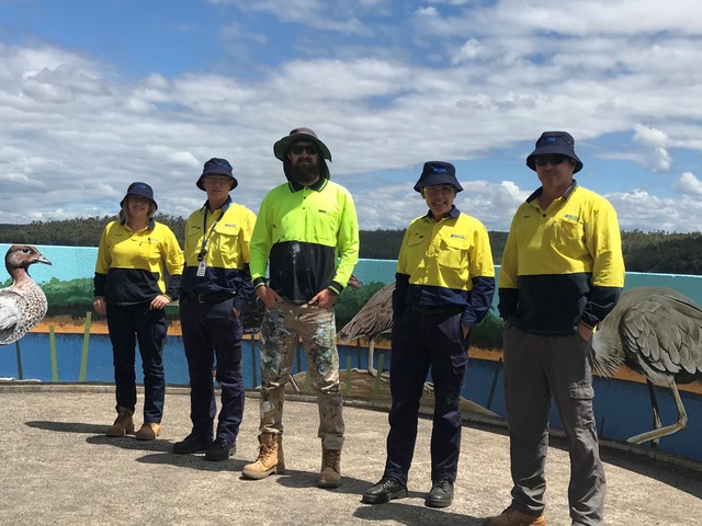 Wildlife inspires art