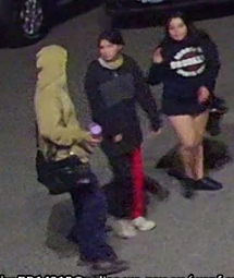 Three wanted over Maddington car fire