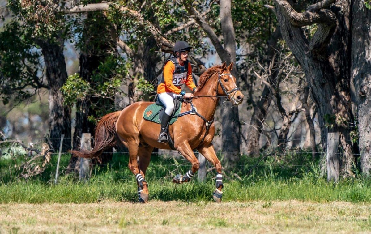 Horse champion’s bold move