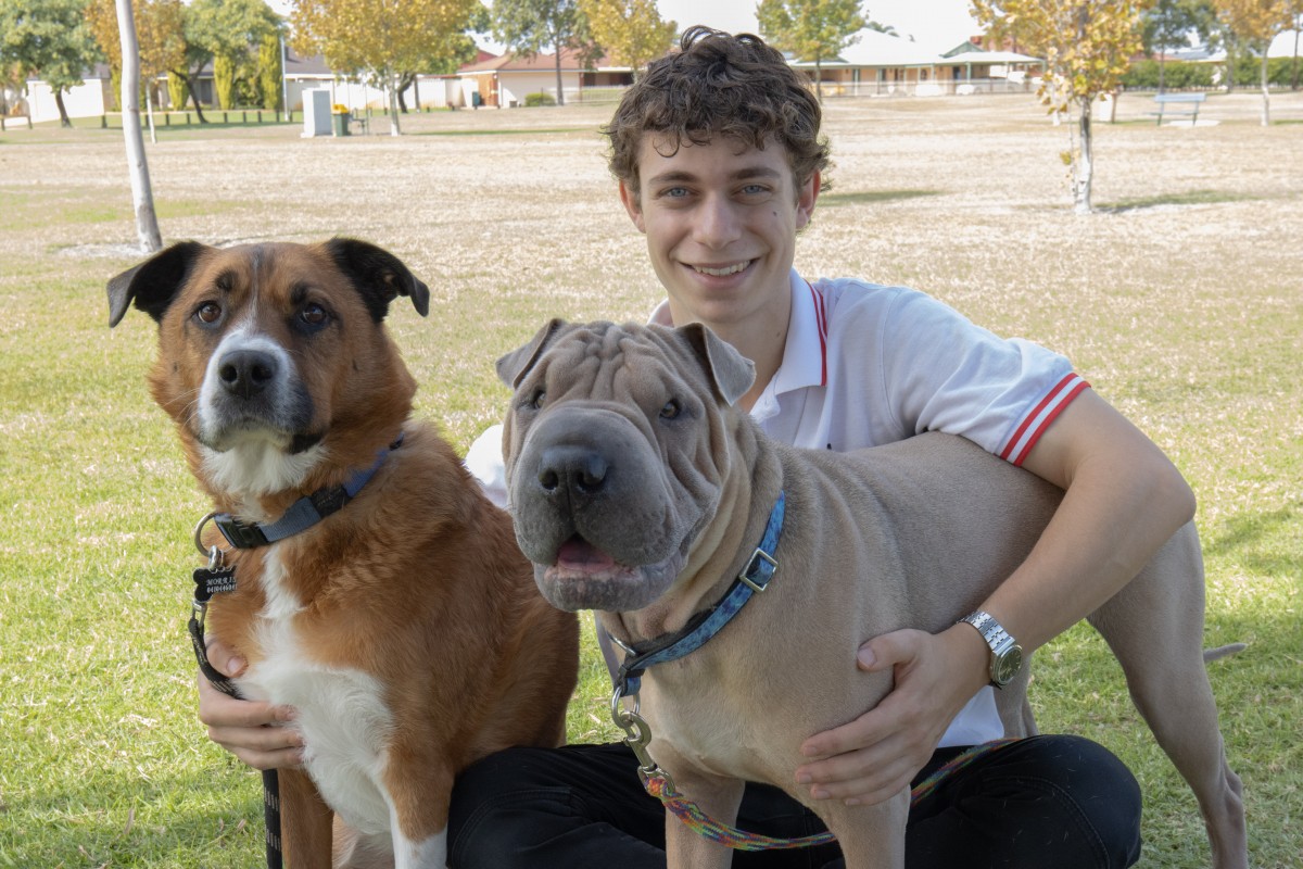 Rental crisis leading to pet dumping