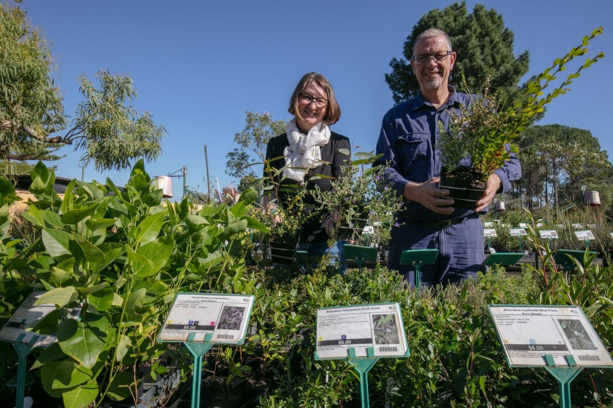 Time to brighten up your verge – and it’s free