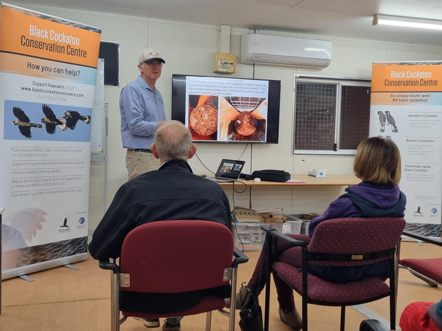 Cockatoo conservation volunteers celebrated