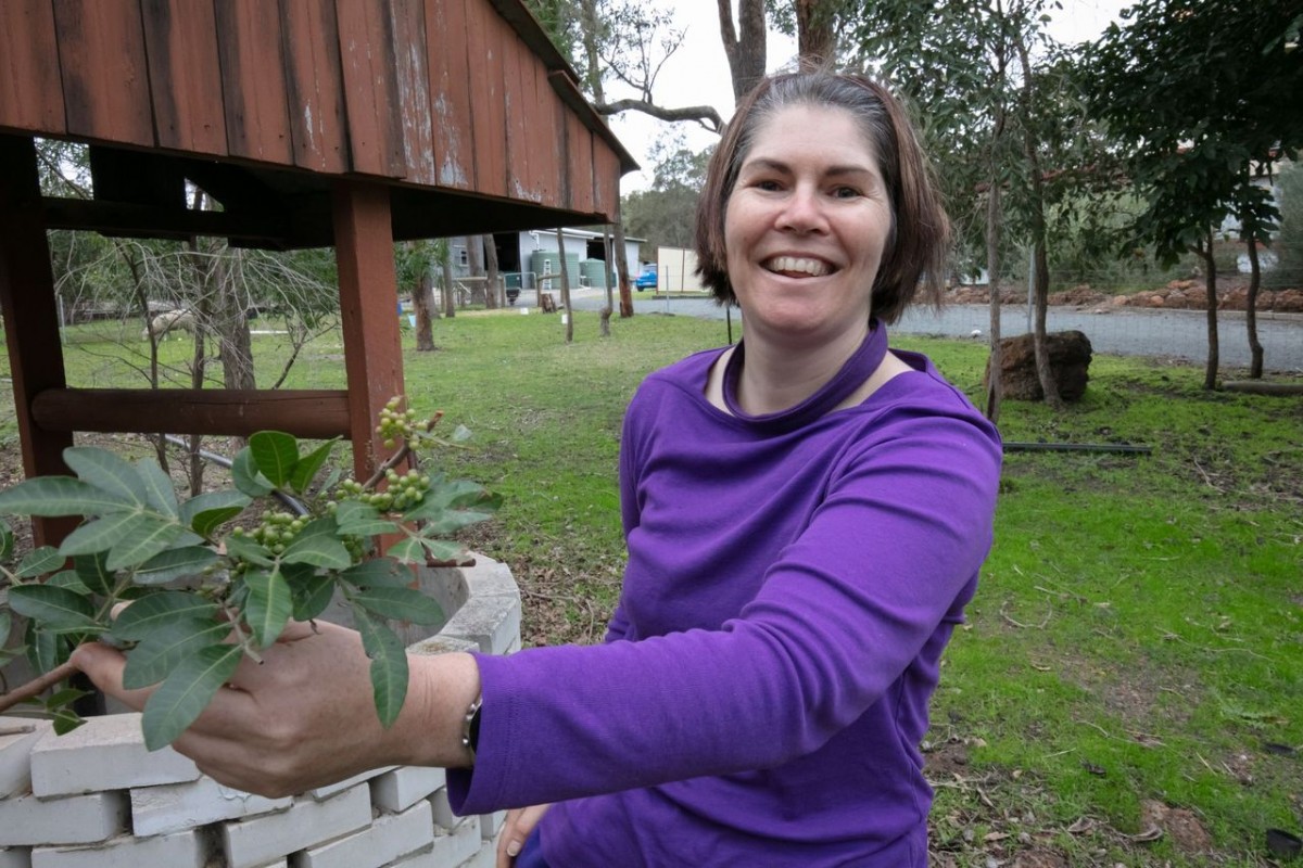 Epilepsy services cut