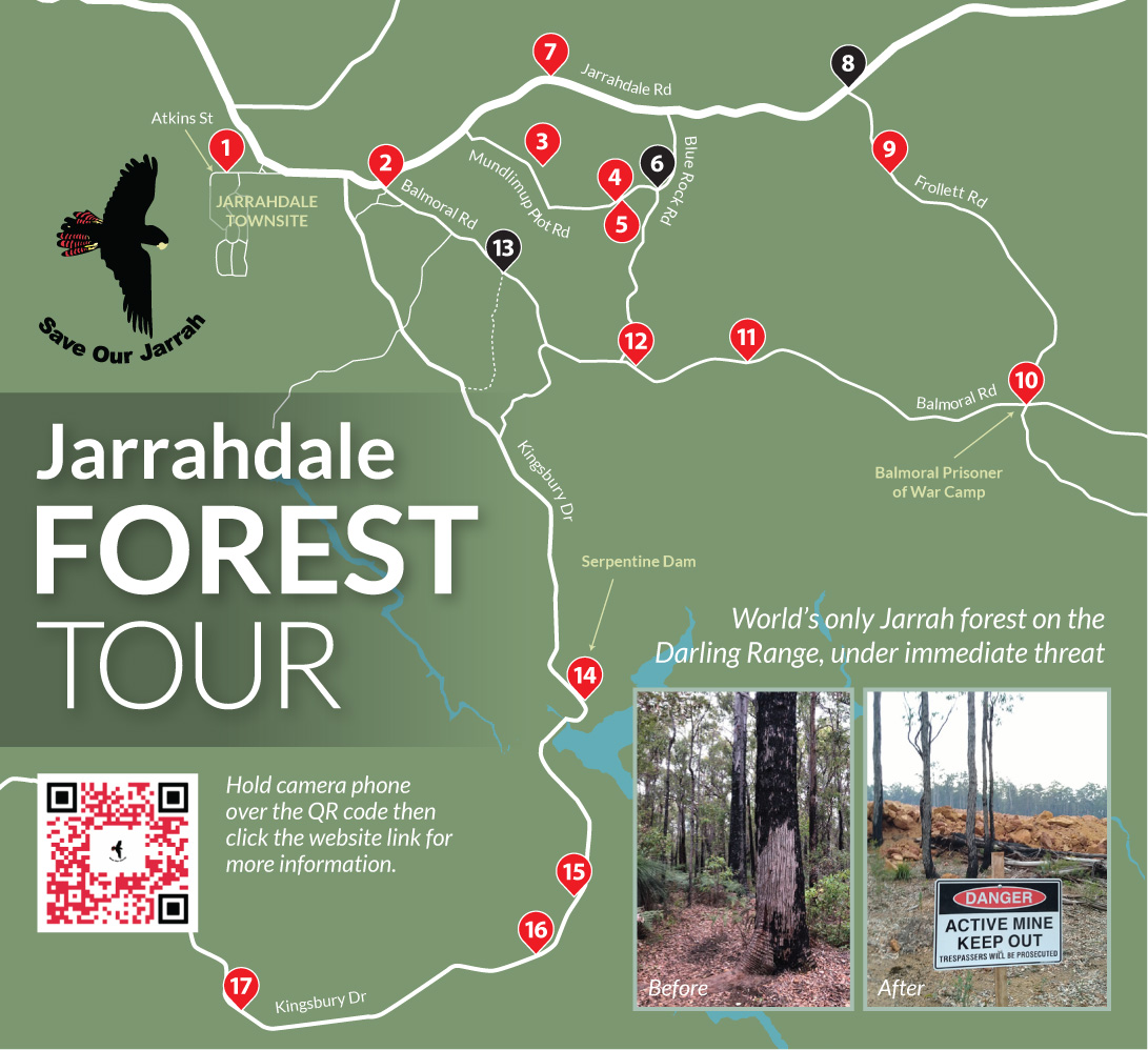 Group asks people to “look for themselves”