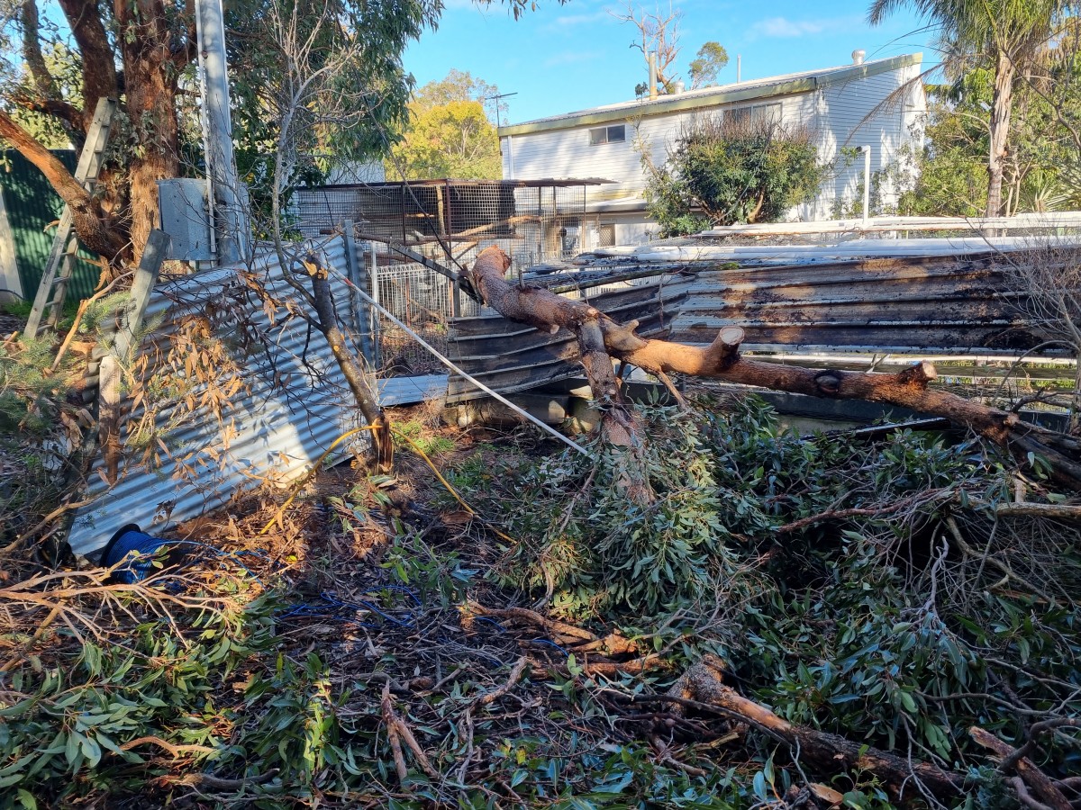 Local community rallies behind cockatoo shelter