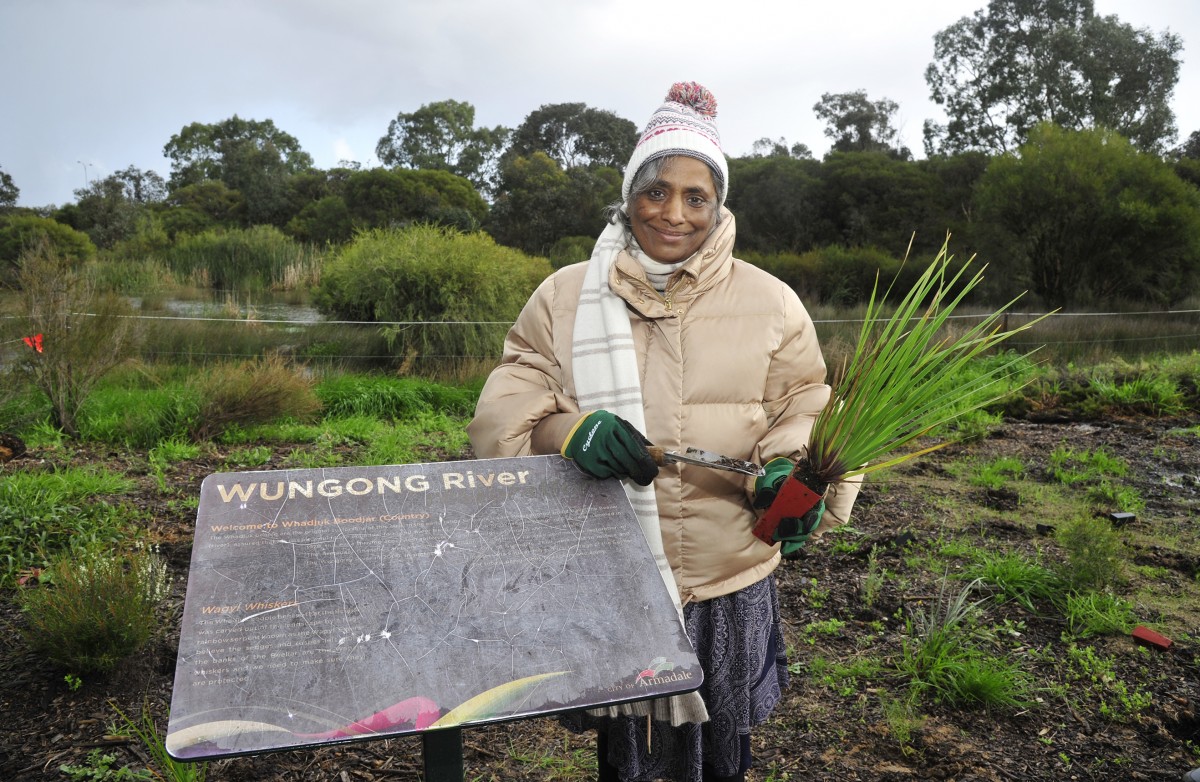 Dedicated planters brave the rain