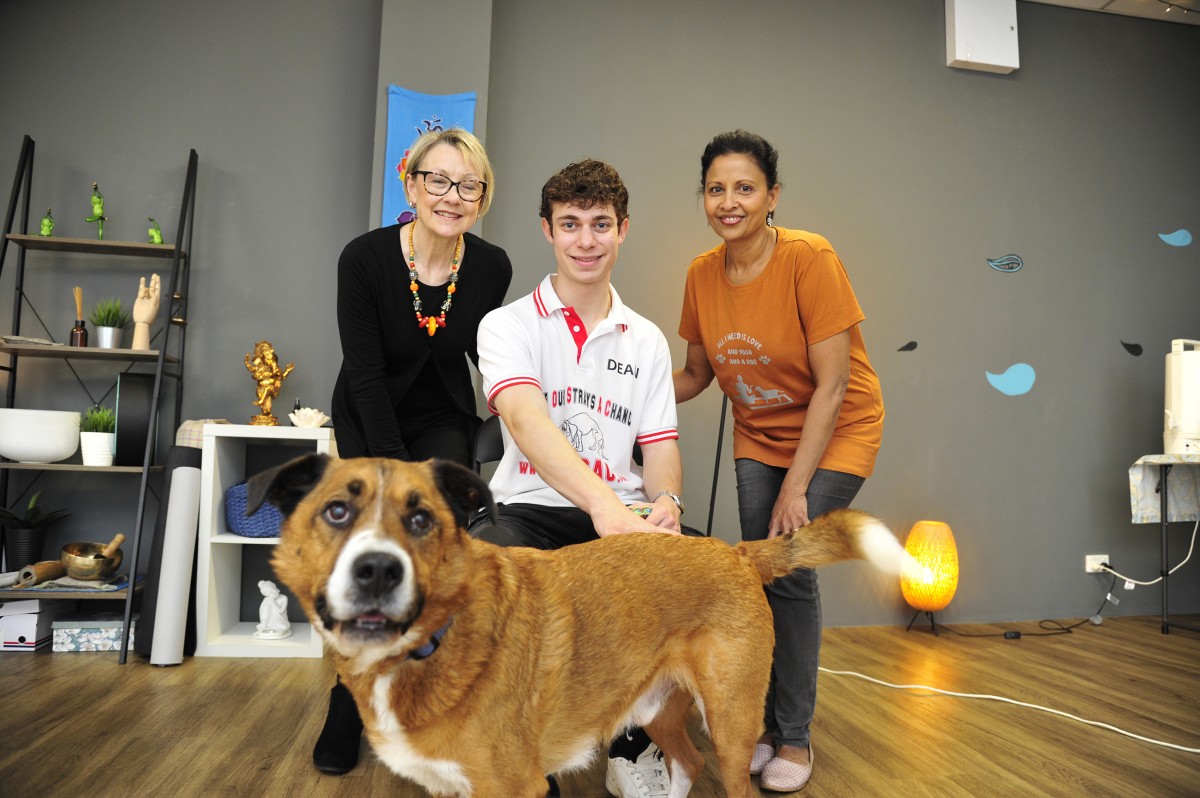 Speakers unite for strays