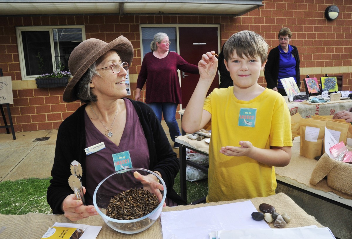 Young farmers show how its done