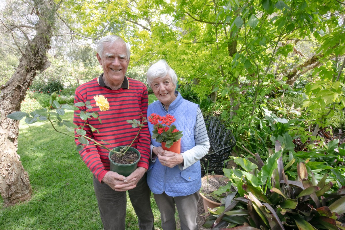 Charity seeks face painter