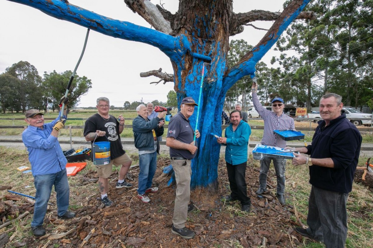 Tree aims to break stigma