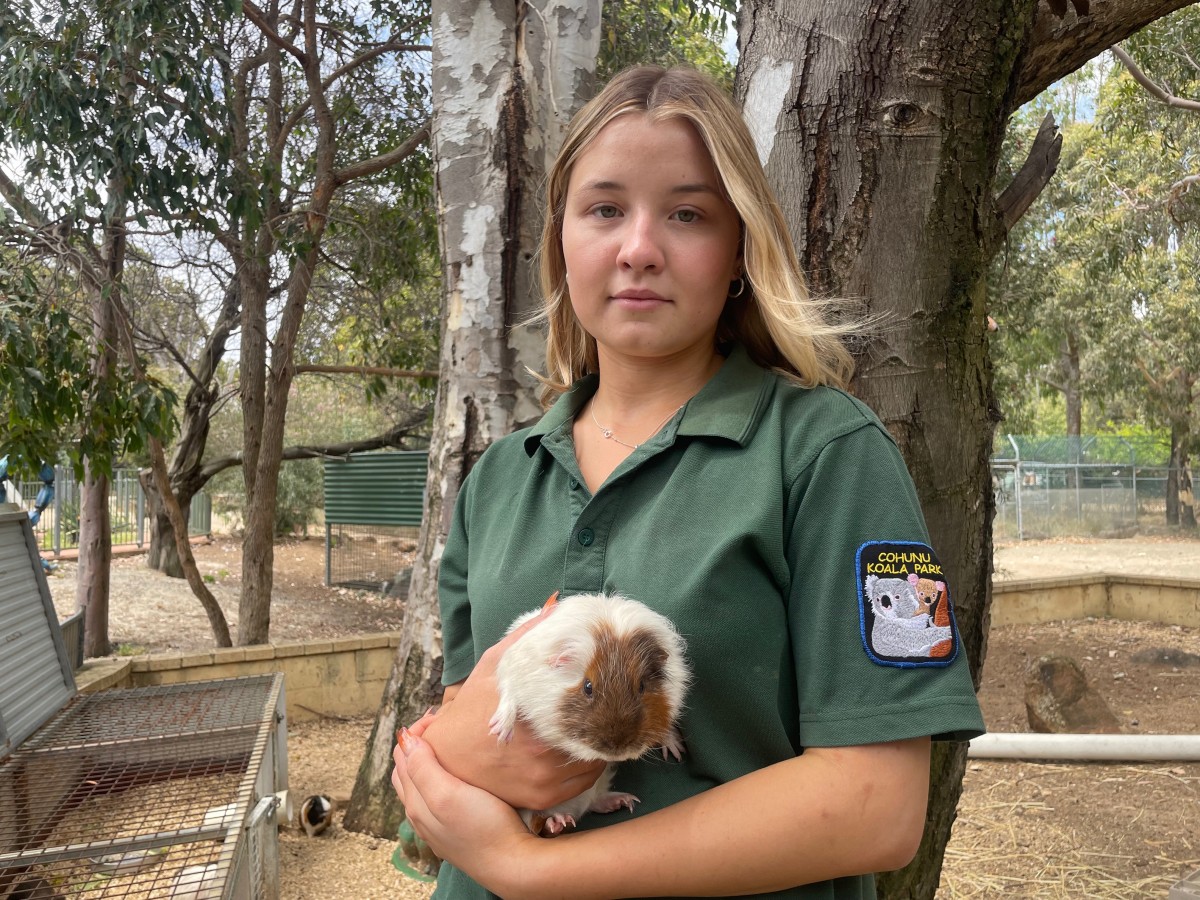 Staff horrified by cruel incident