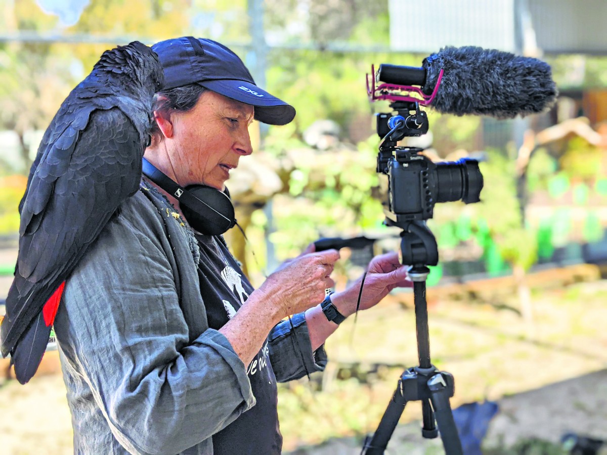 Doco to focus on local cockatoo centre